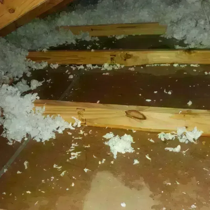 Attic Water Damage in Fairlawn, VA